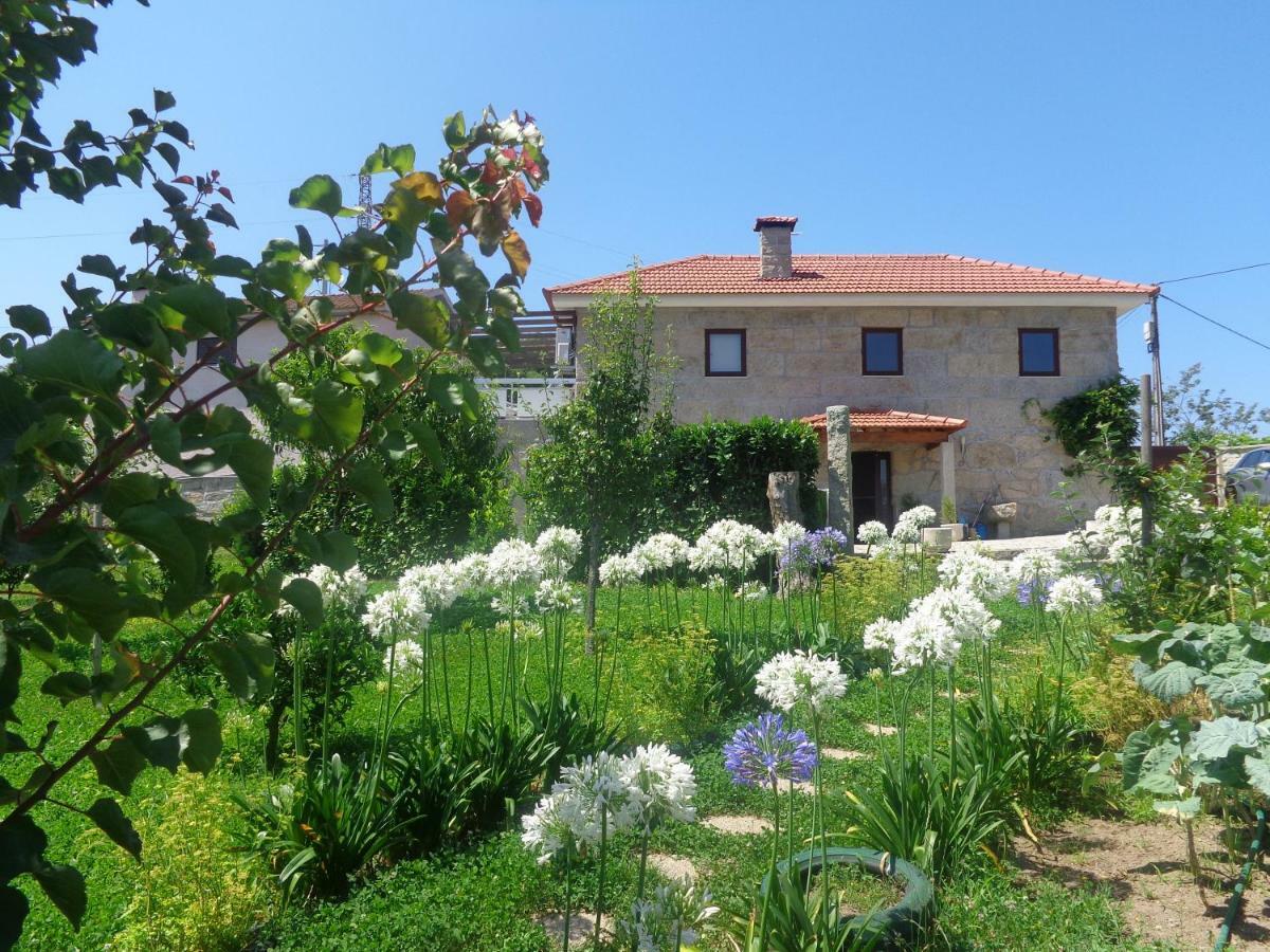 Гостевой дом Bernardes House Каштелу-ди-Пайва Экстерьер фото